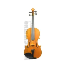 Student Beginner Violin in Missouri